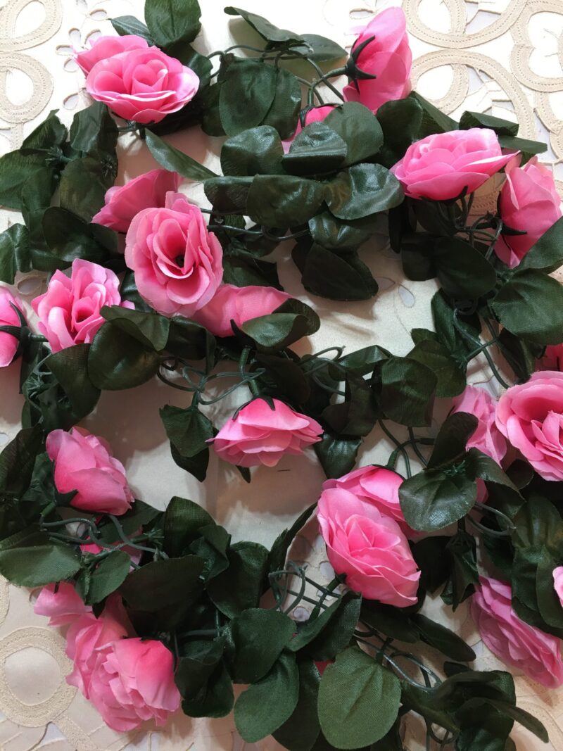 Guía de rosas - Imagen 2