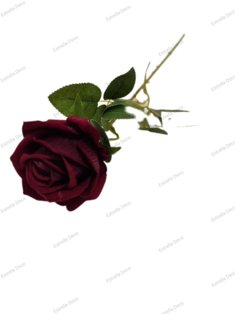 Rosa mediana en vara - Imagen 2