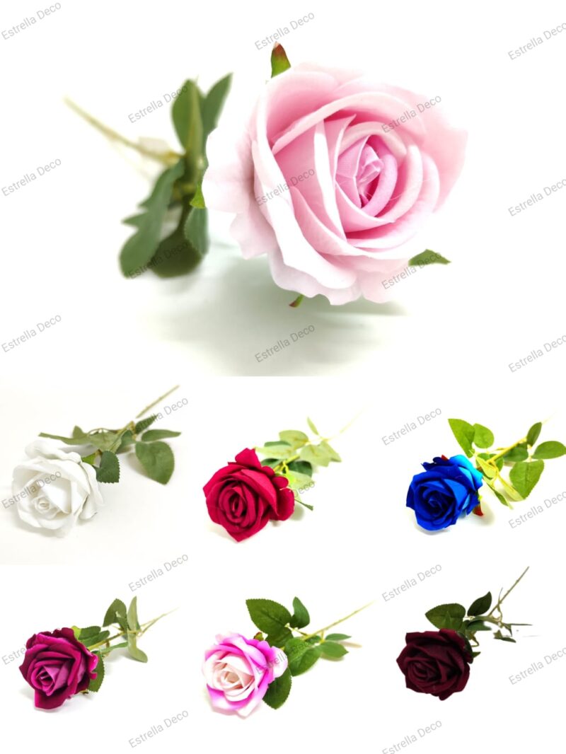 Rosa mediana en vara