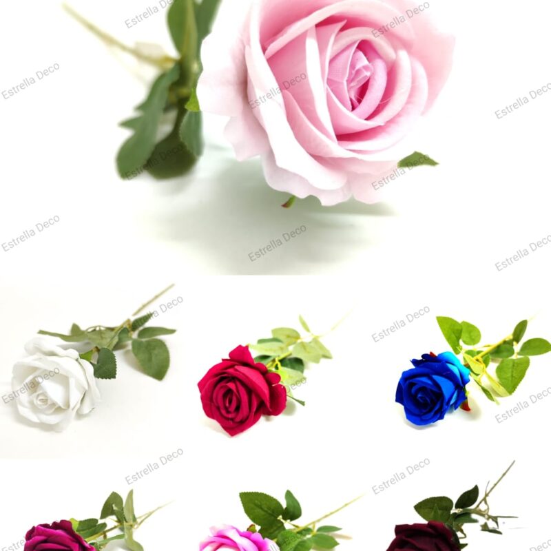Rosa mediana en vara