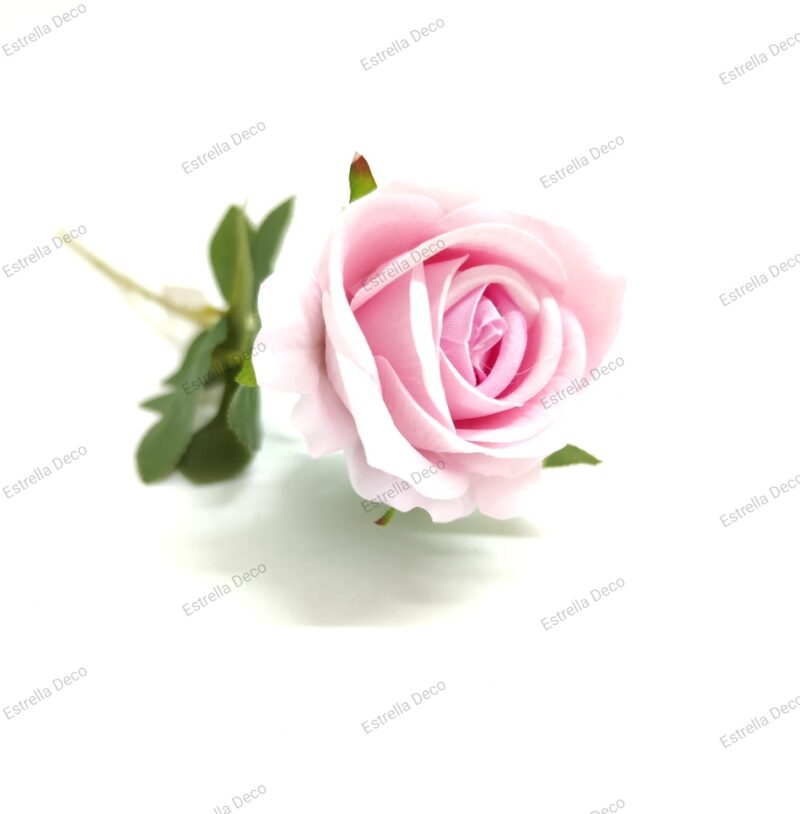 Rosa mediana en vara - Imagen 4