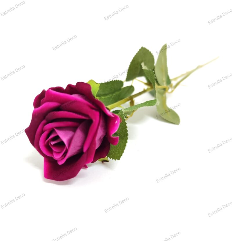 Rosa mediana en vara - Imagen 5