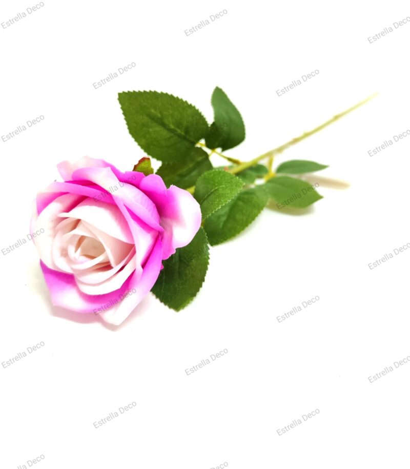 Rosa mediana en vara - Imagen 3