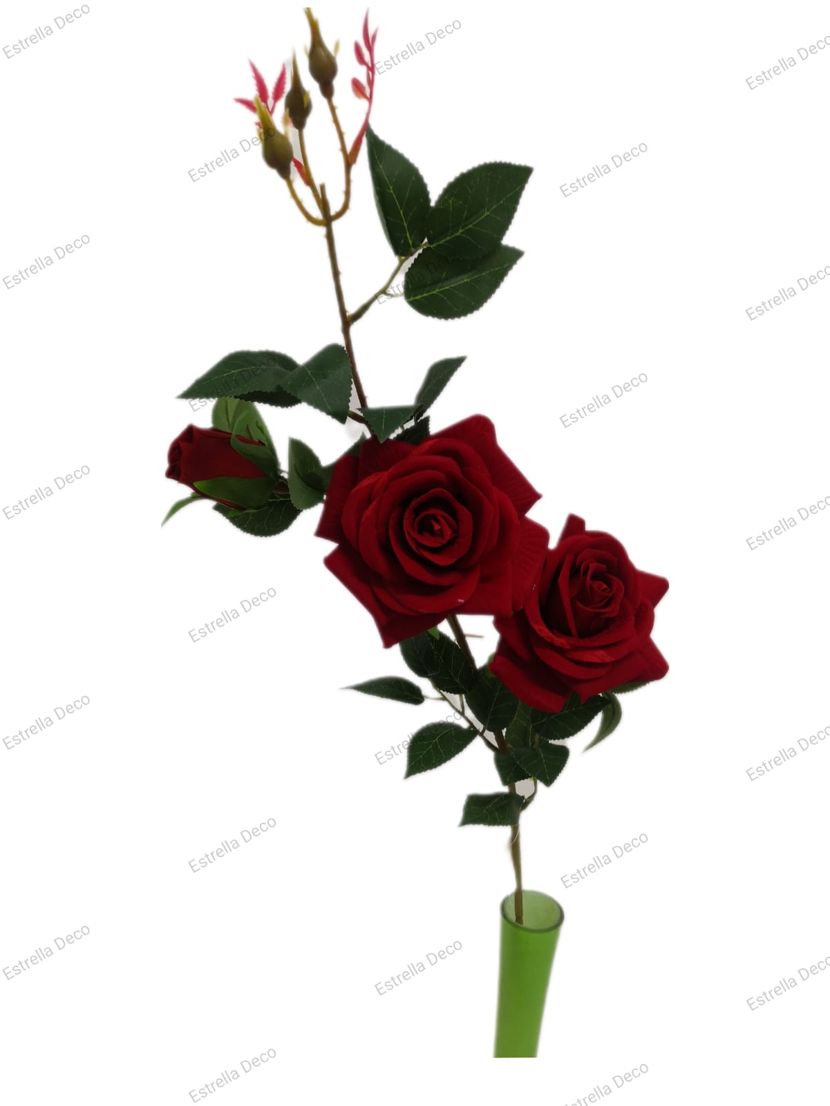 Rosas en vara - Imagen 6