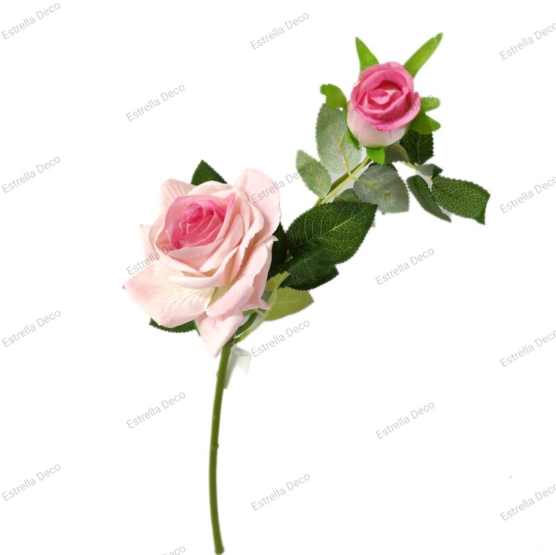 Rosa con pimpollo - Imagen 3
