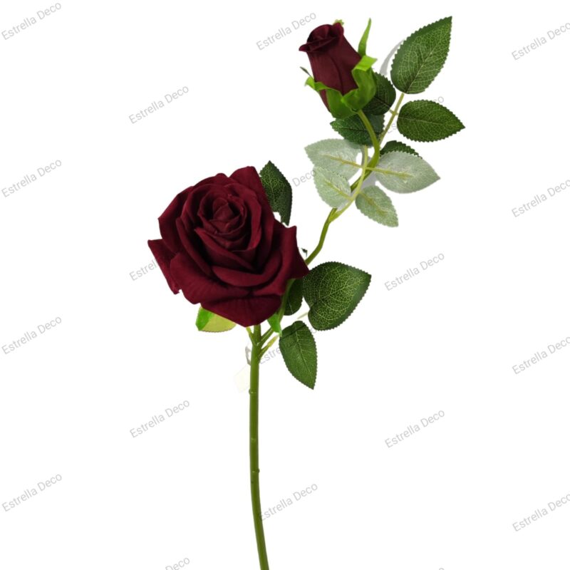 Rosa con pimpollo - Imagen 4