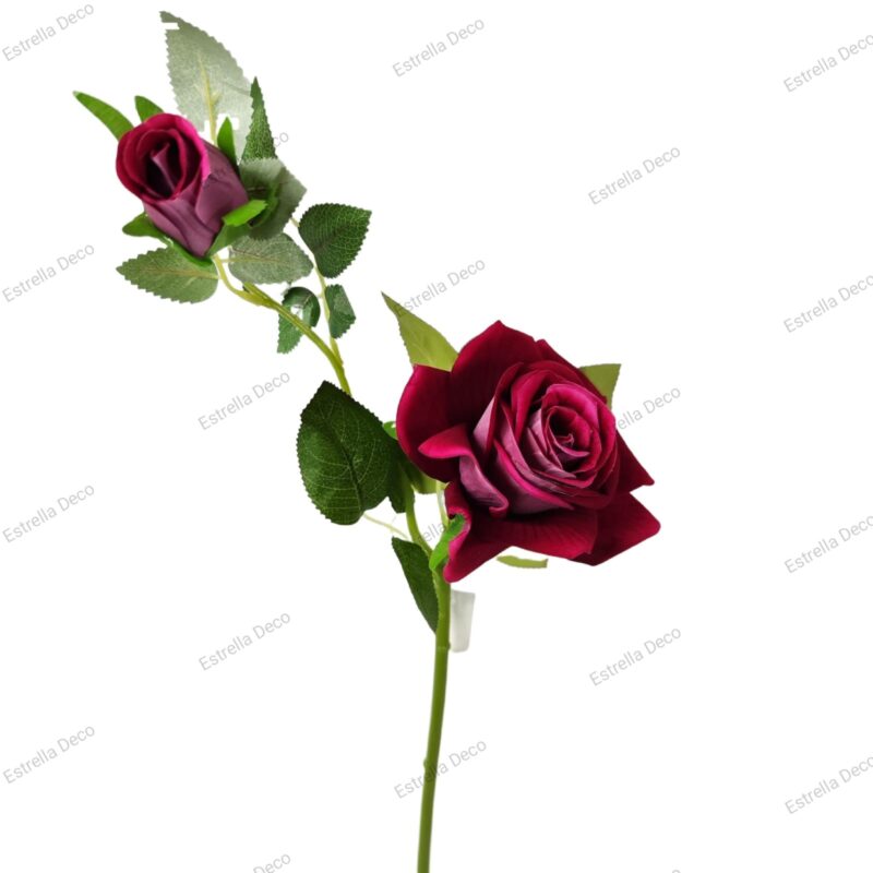 Rosa con pimpollo - Imagen 5
