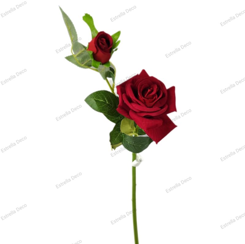 Rosa con pimpollo - Imagen 6