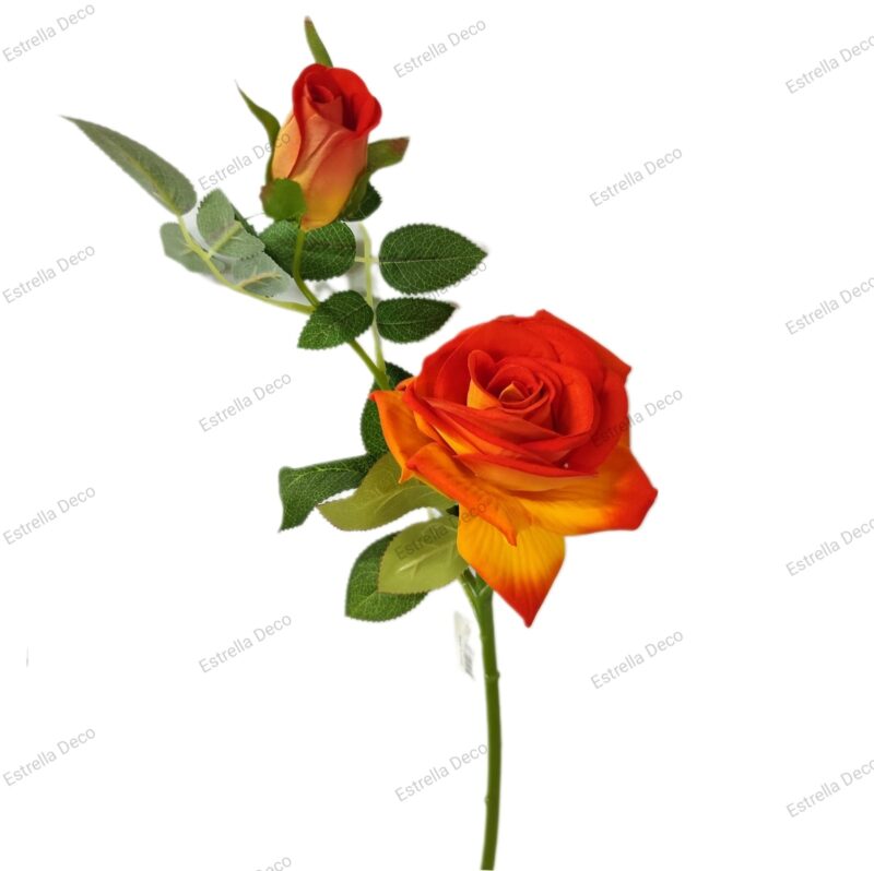 Rosa con pimpollo - Imagen 2