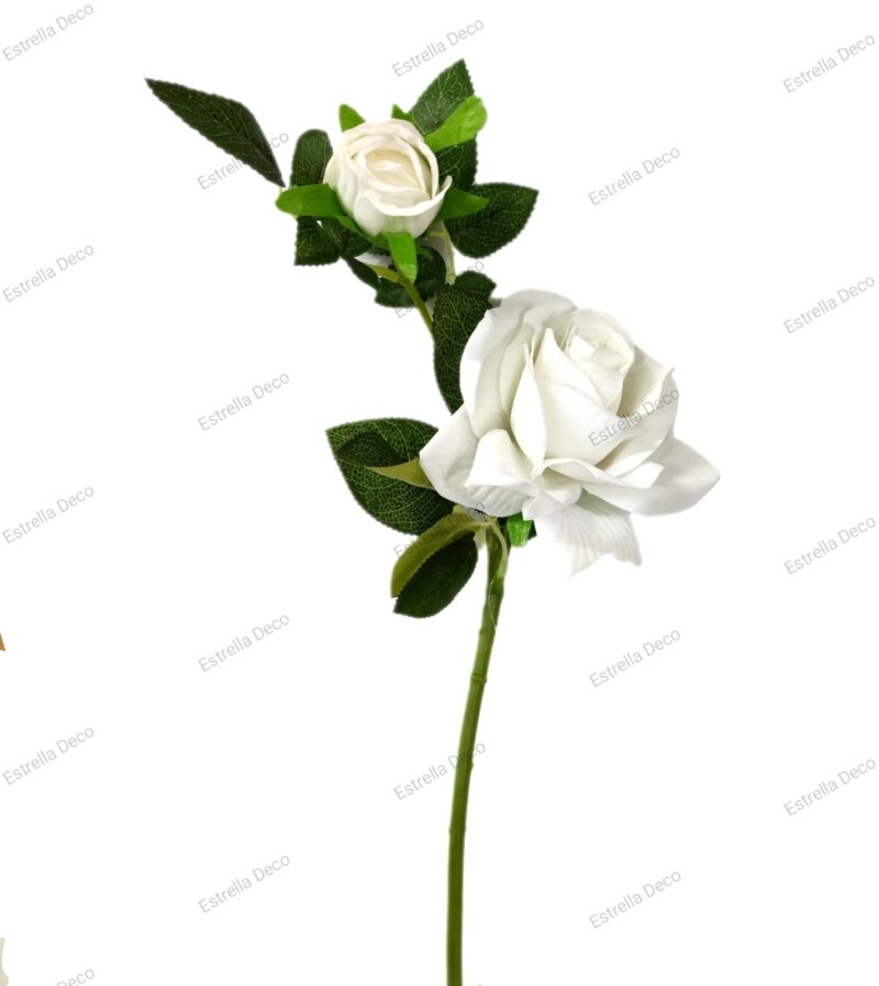 Rosa con pimpollo - Imagen 8
