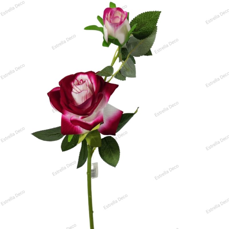 Rosa con pimpollo - Imagen 7