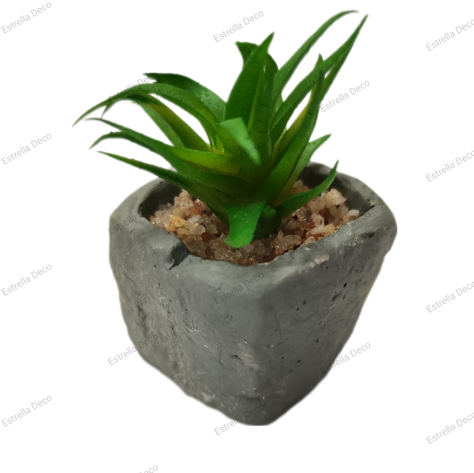 Maceta cemento con suculente - Imagen 7