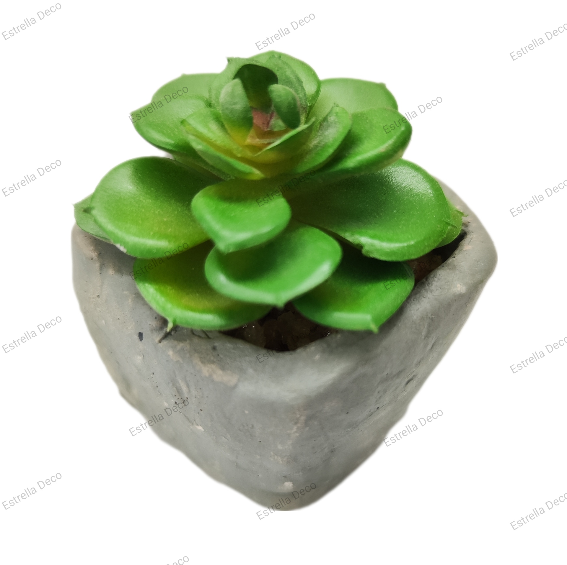 Maceta cemento con suculente - Imagen 8