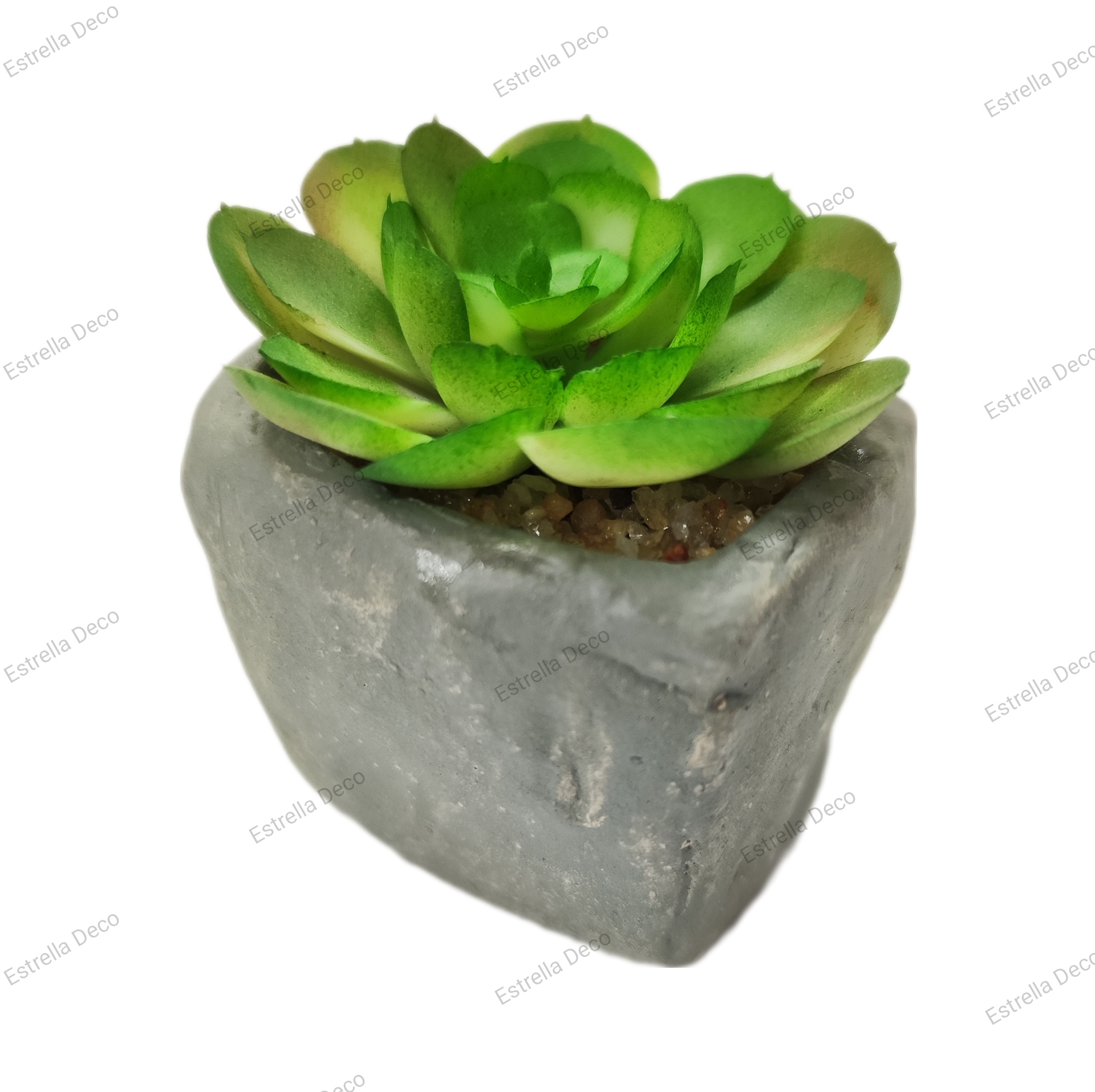 Maceta cemento con suculente - Imagen 5