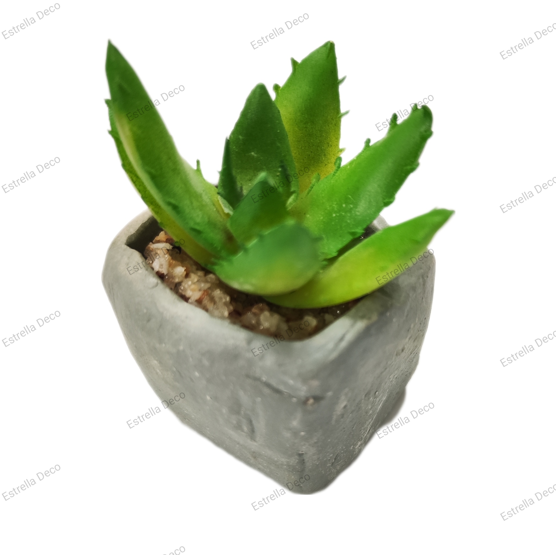 Maceta cemento con suculente - Imagen 11