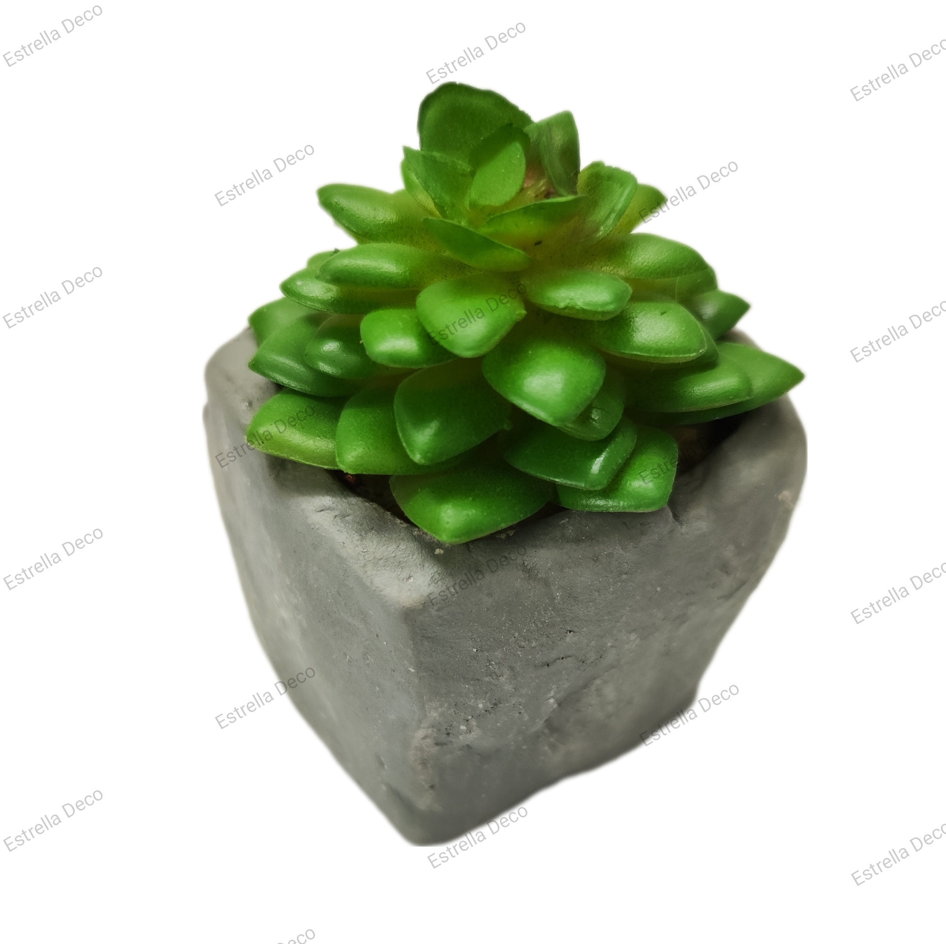 Maceta cemento con suculente - Imagen 9