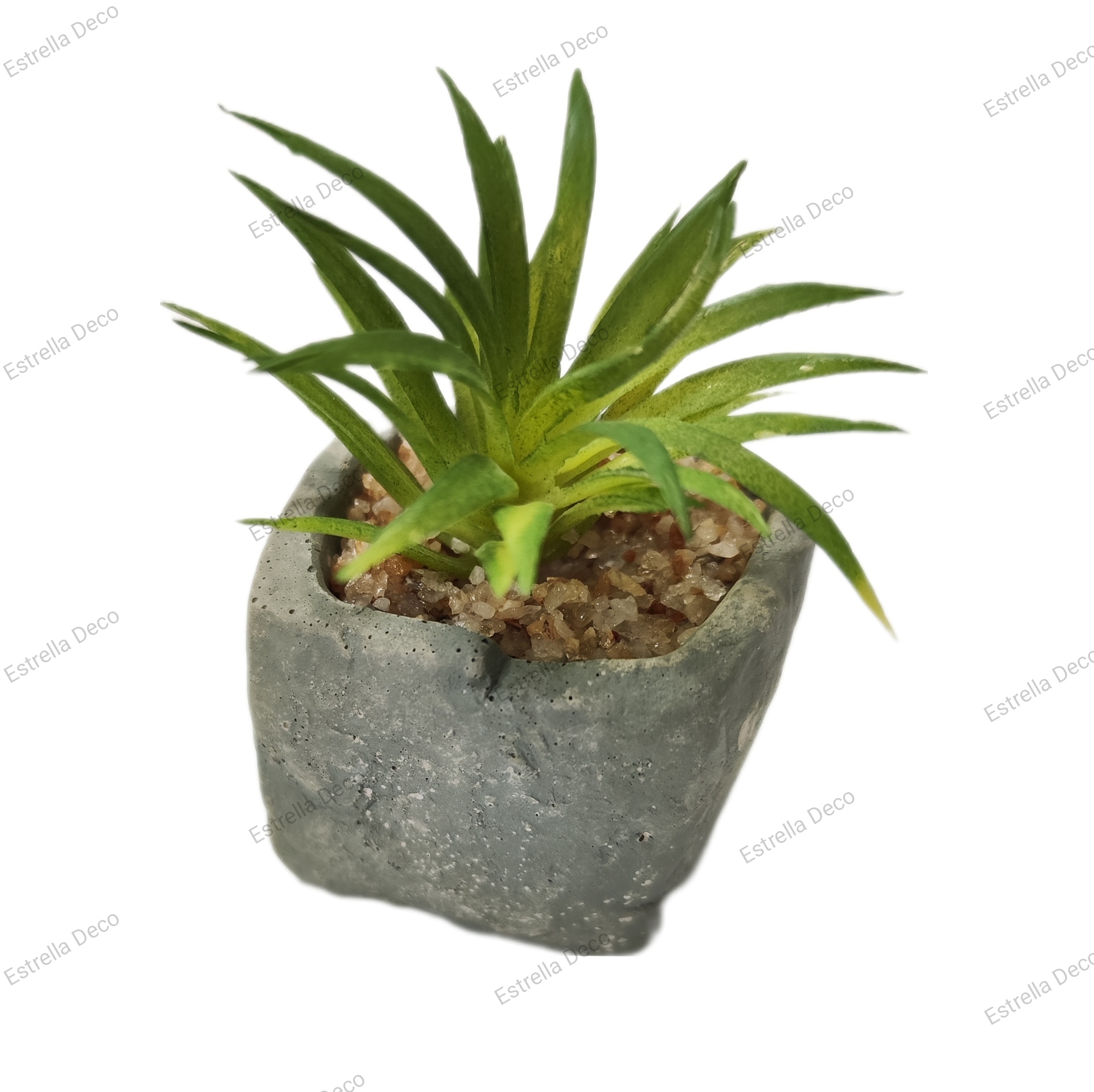 Maceta cemento con suculente - Imagen 10