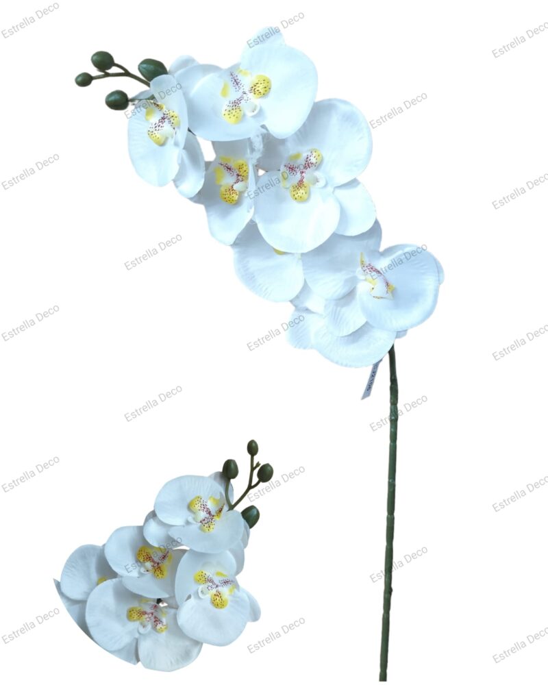 Vara orquidea - Imagen 3