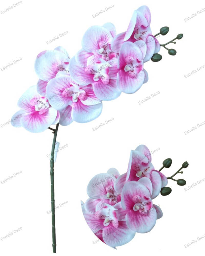 Vara orquidea - Imagen 6