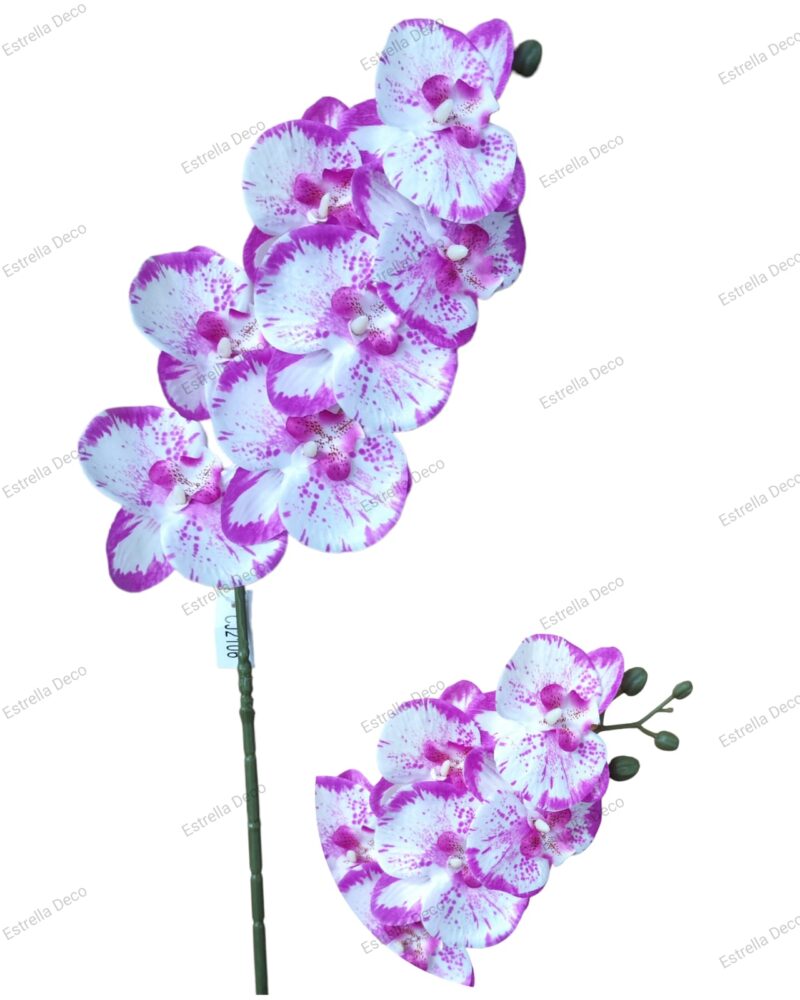 Vara orquidea - Imagen 2