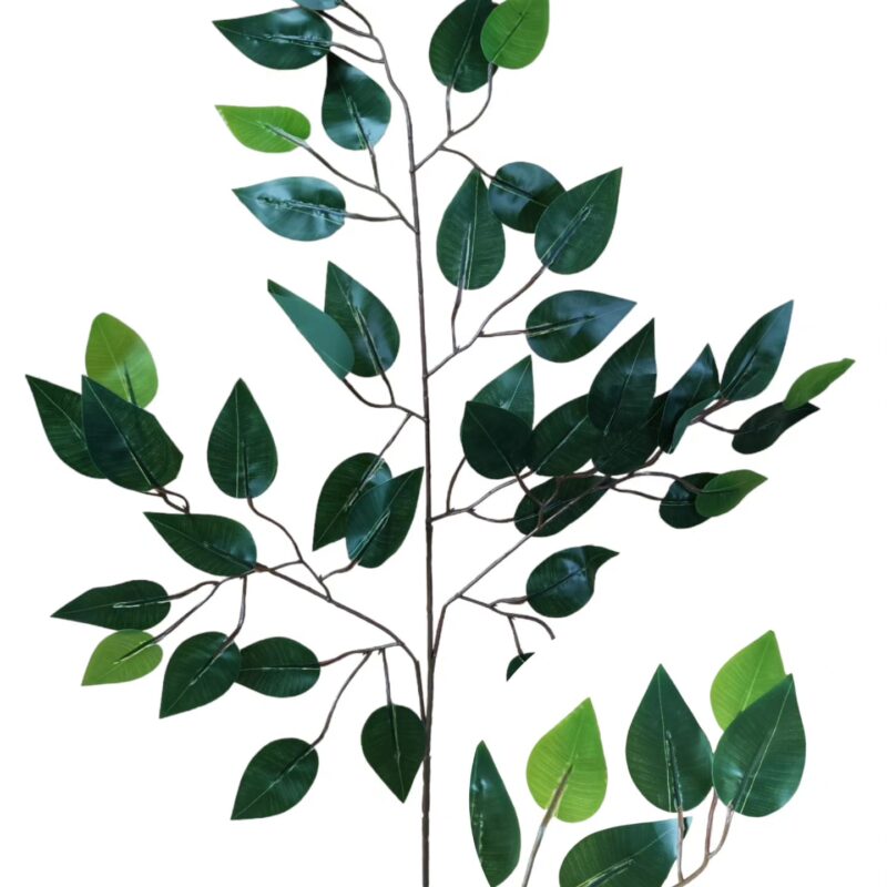 Vara hoja de ficus - Imagen 2