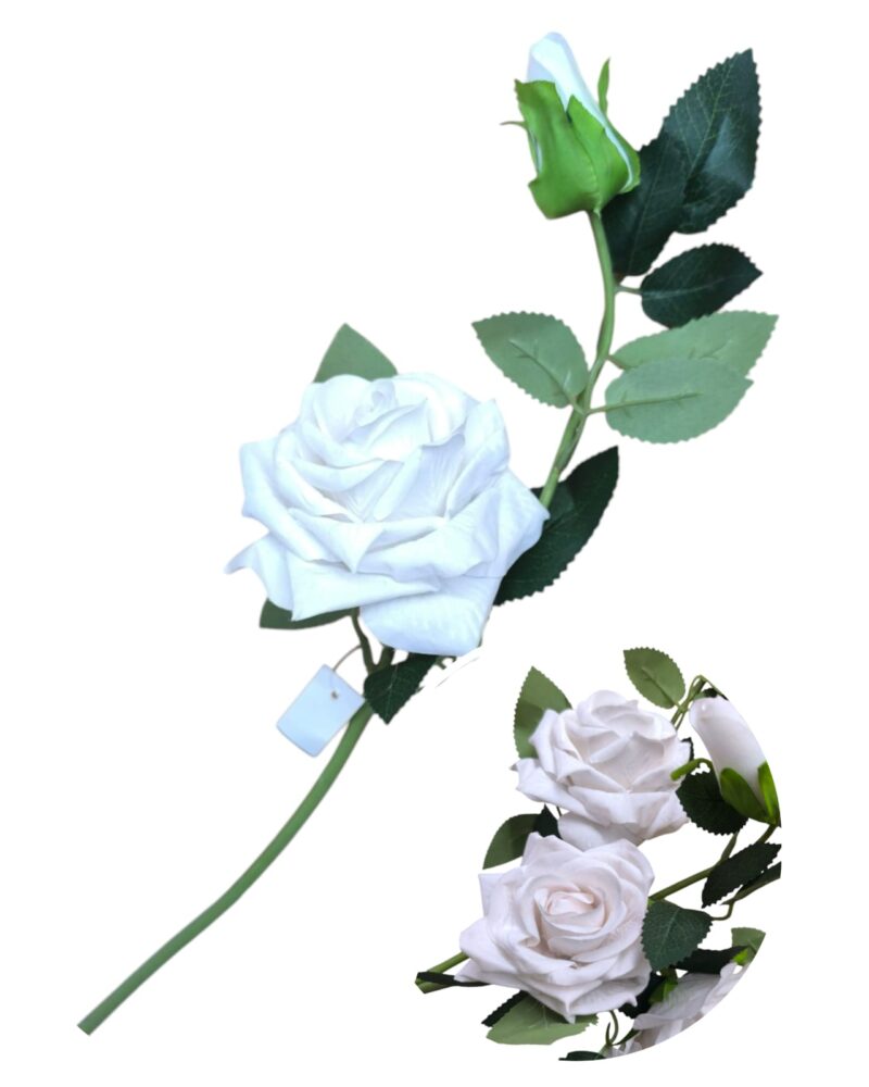 Vara rosa 1 rosa + 1 pimpollo - Imagen 4