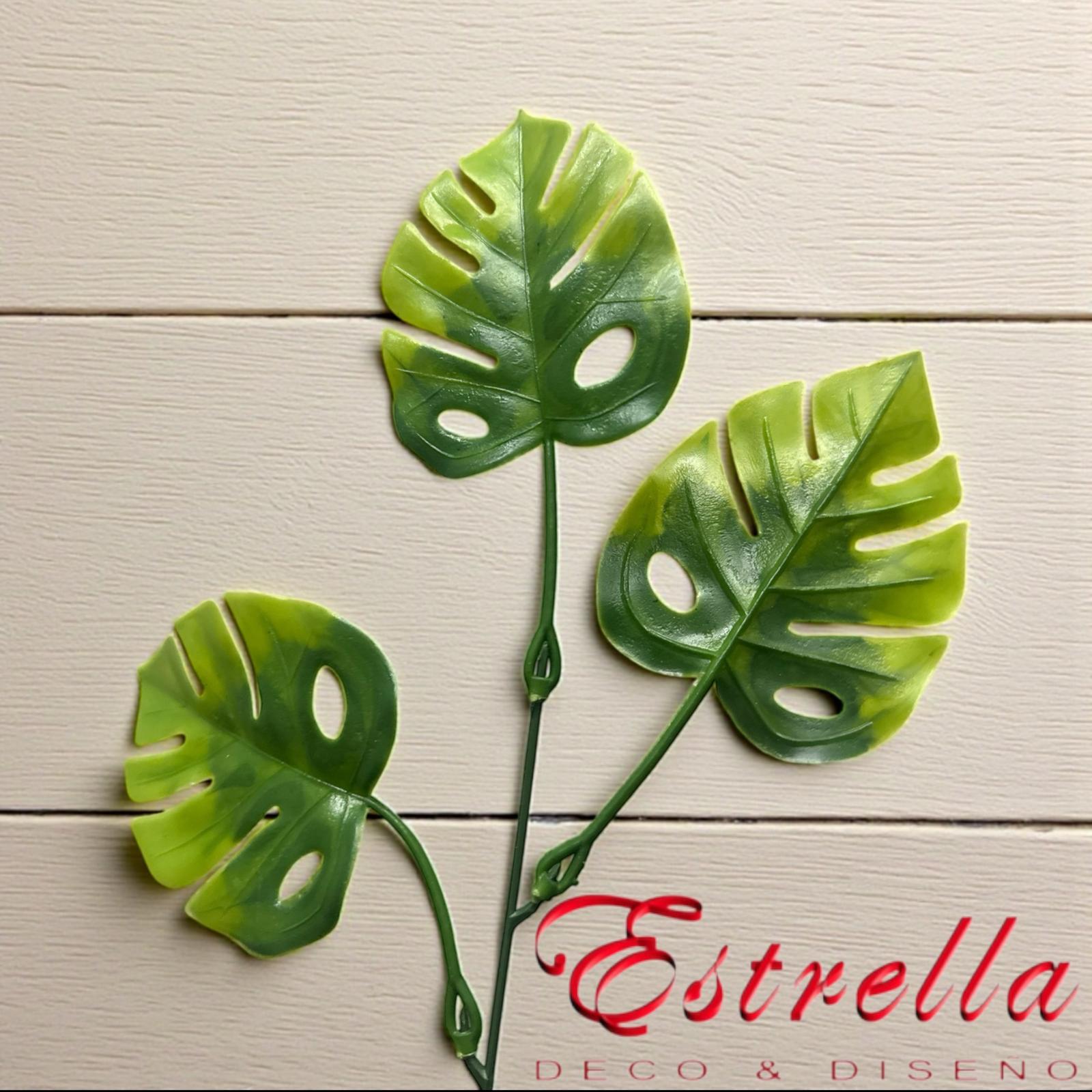 Ramos hoja monstera - Imagen 4