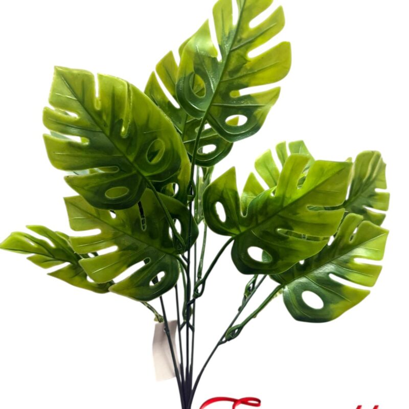 Ramos hoja monstera