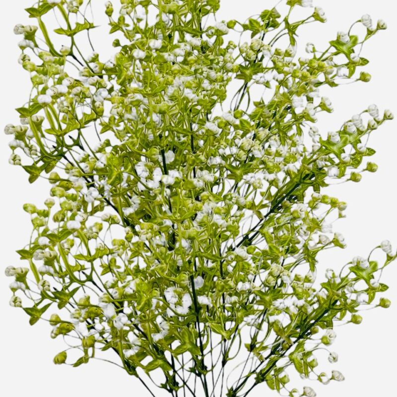 Ramo Gipsofila Artificial Realista x 210florsitas
