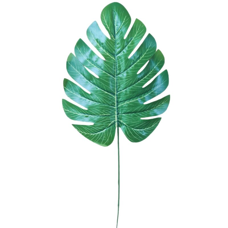 Vara hoja de mostera plastificado - Imagen 3