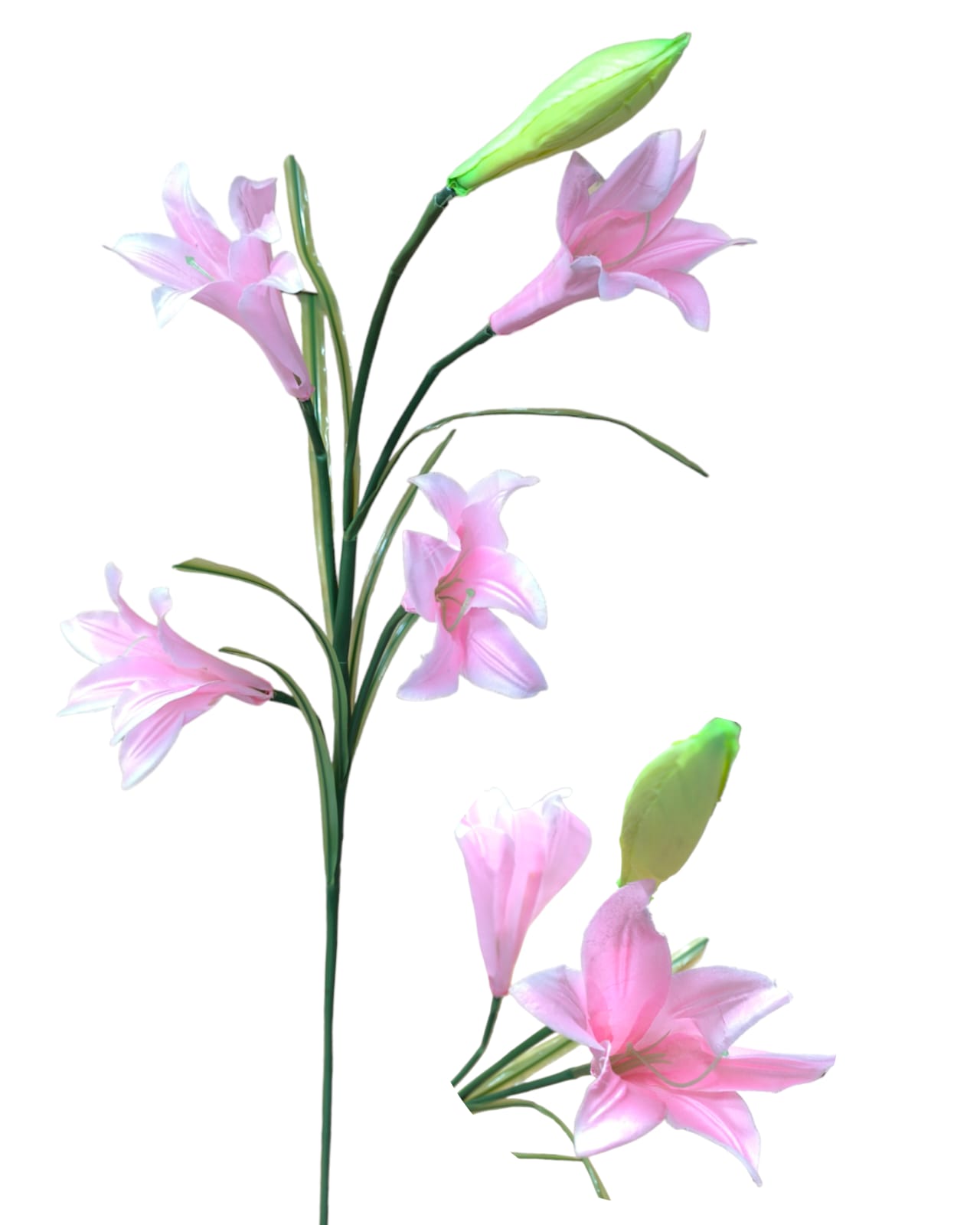 Vara lilium 4 flores+1 pimpollo - Imagen 3