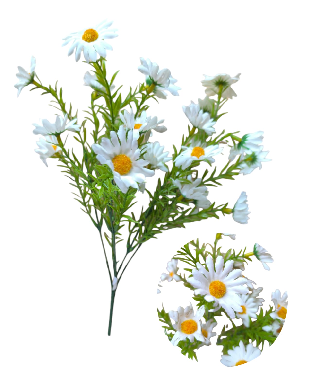 Ramo margaritas x 25 flores - Imagen 7