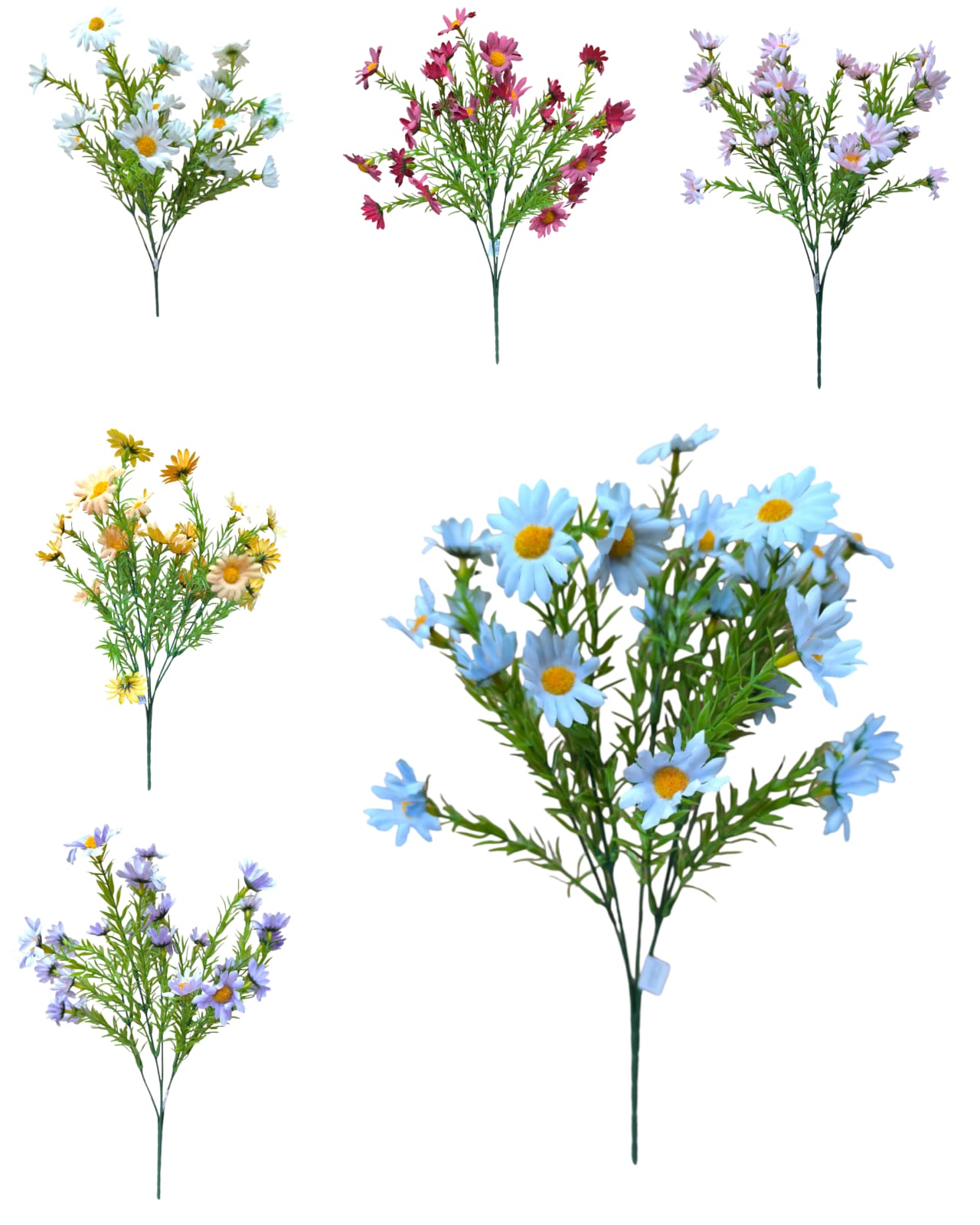 Ramo margaritas x 25 flores