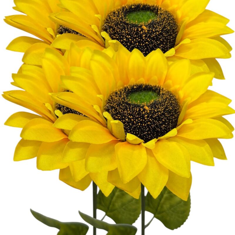 Vara girasol 15cm de diametro