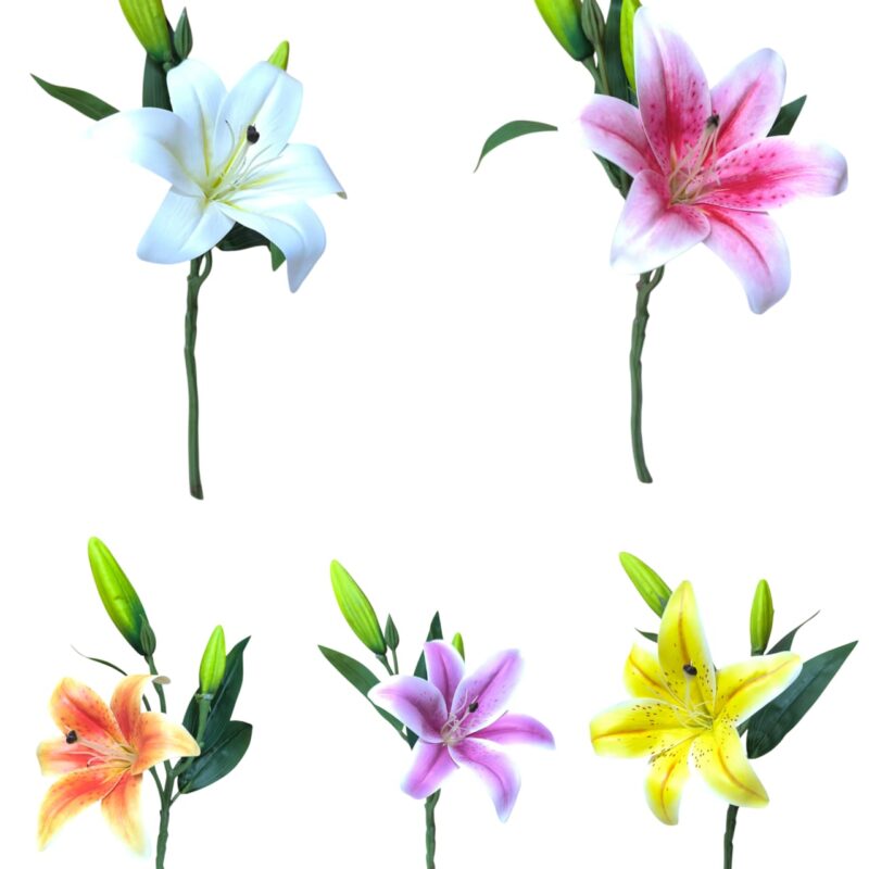 Vara lilium x 1 flores + 2 pimpollos