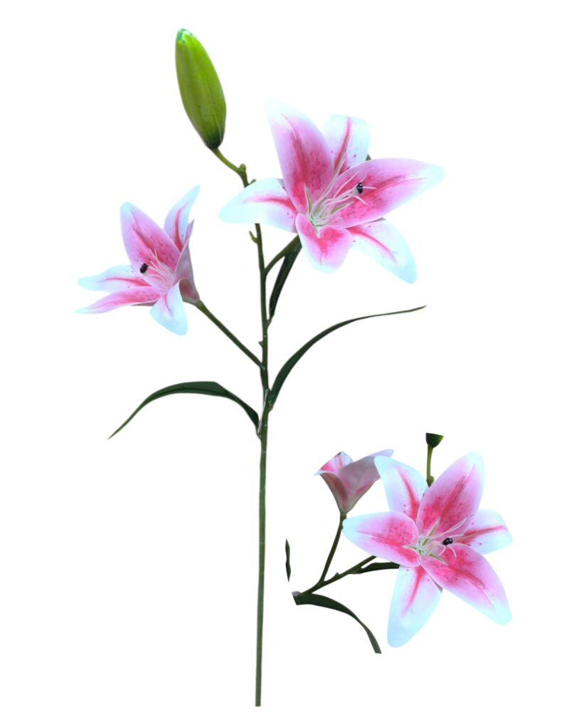 Vara lilium x 2 flores + 1 pimpollo - Imagen 3