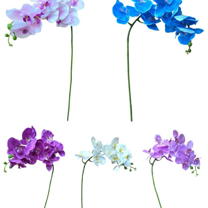 Vara orquidea x 9 flores