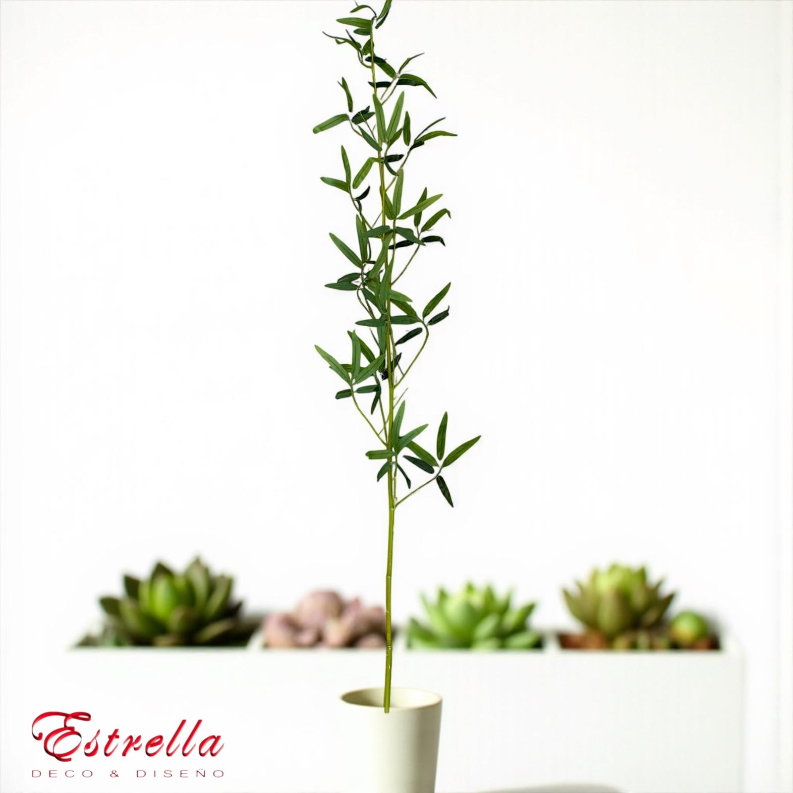 Varas caña de bambú x160cm - Imagen 3