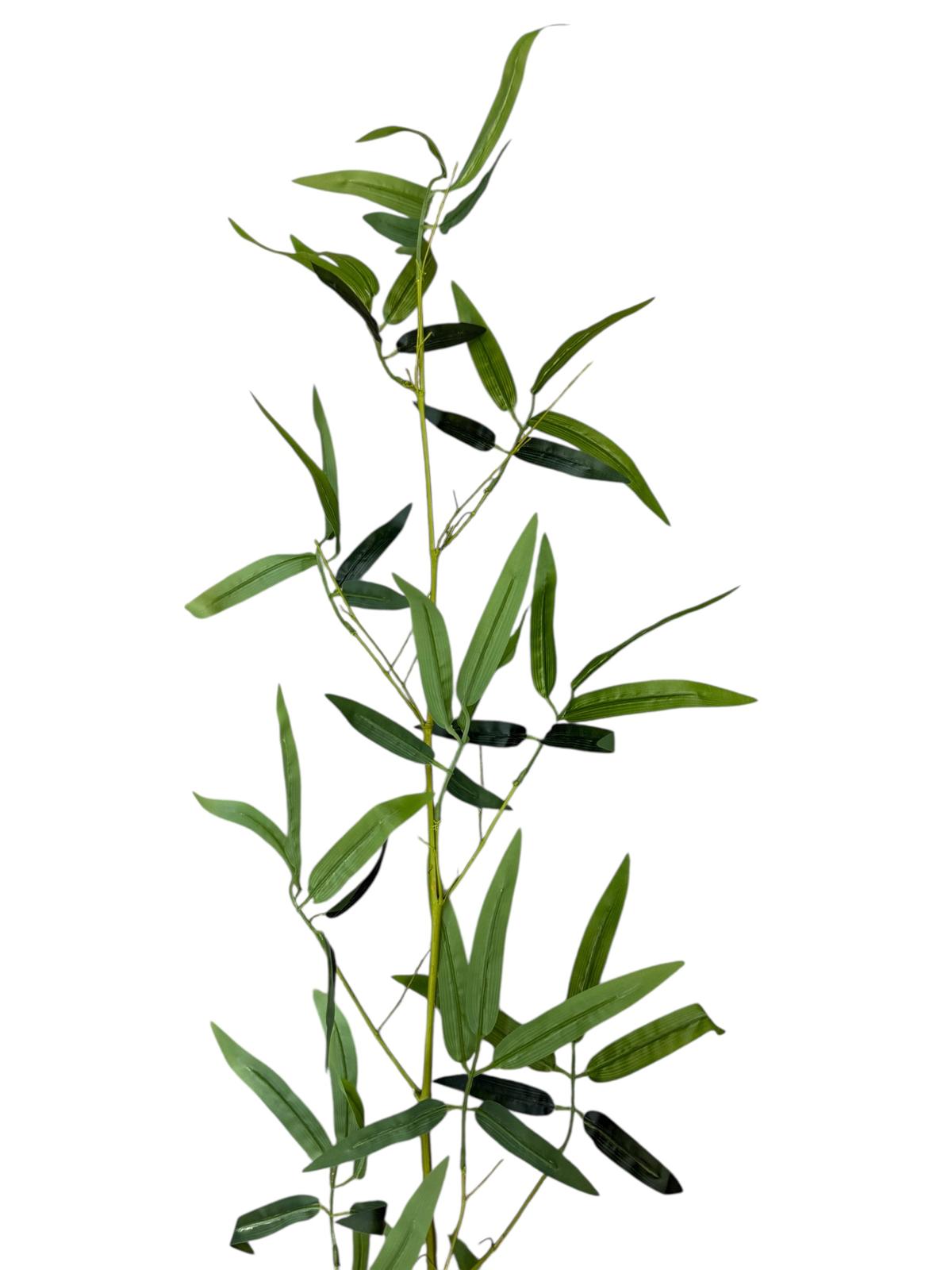 Varas caña de bambú x160cm - Imagen 2