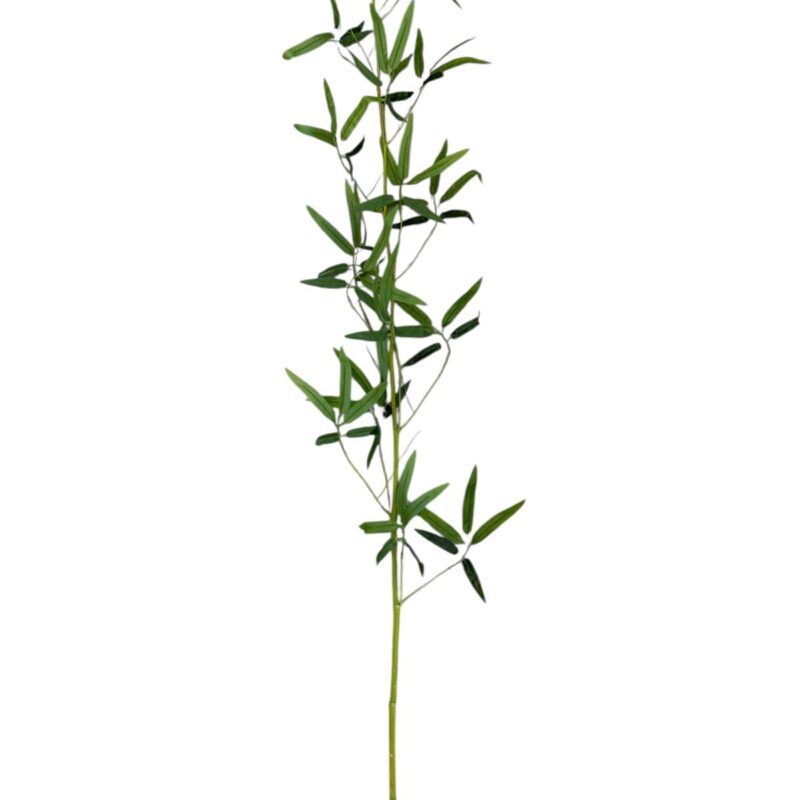 Varas caña de bambú x160cm