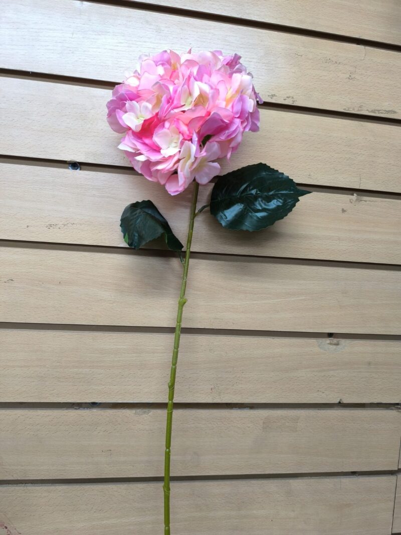 Vara hortensia - Imagen 2