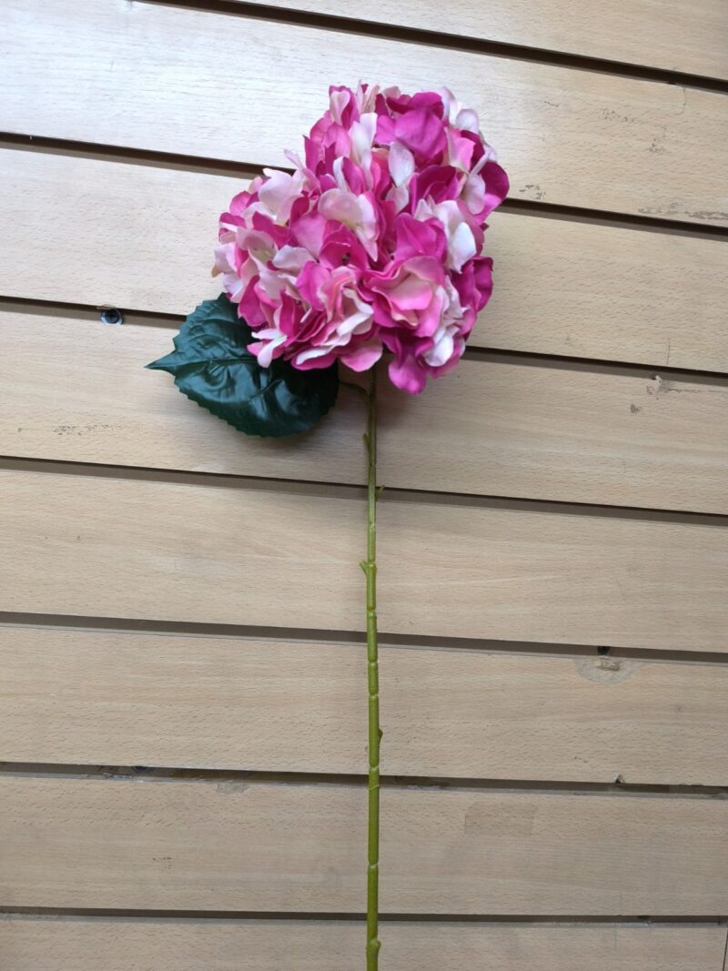 Vara hortensia - Imagen 3