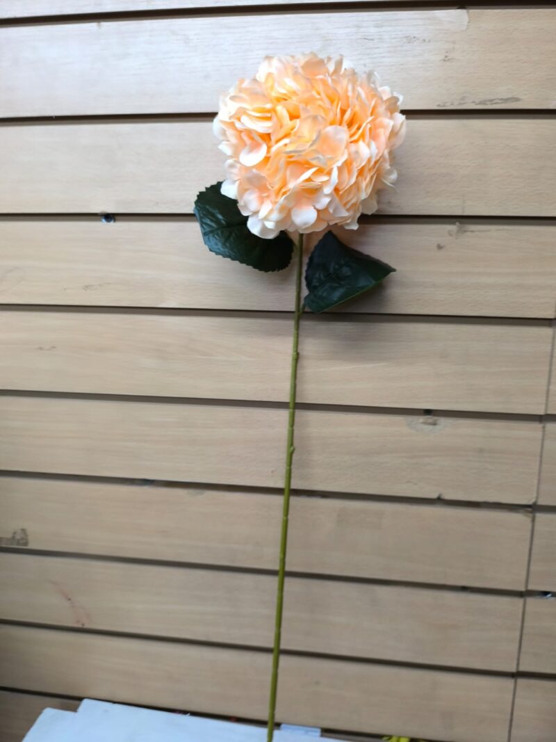 Vara hortensia - Imagen 5
