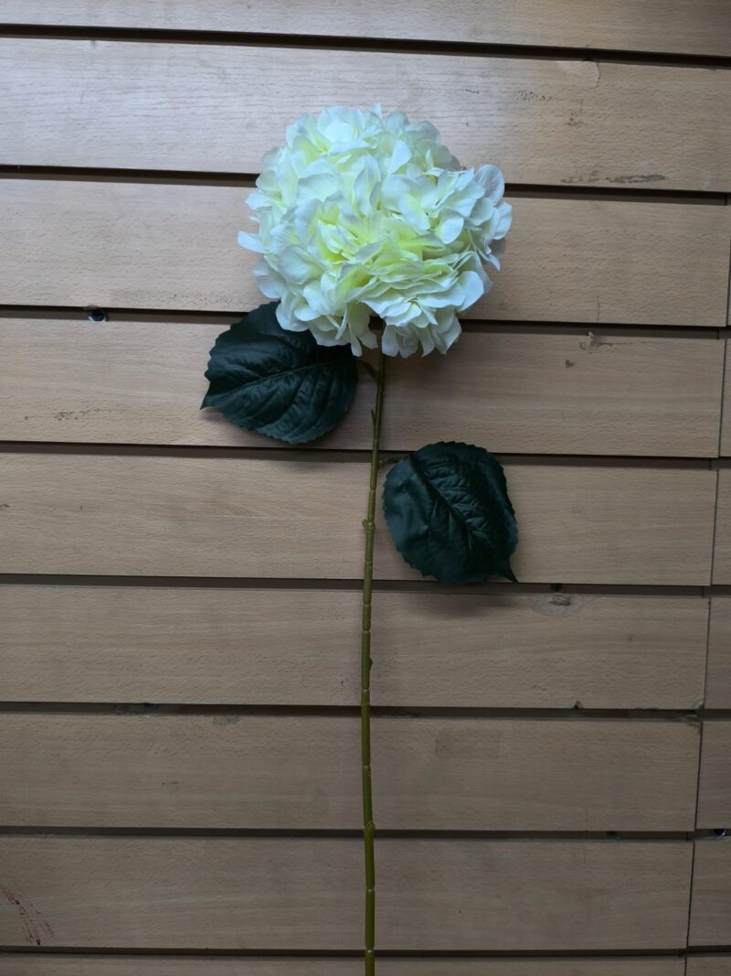 Vara hortensia - Imagen 6