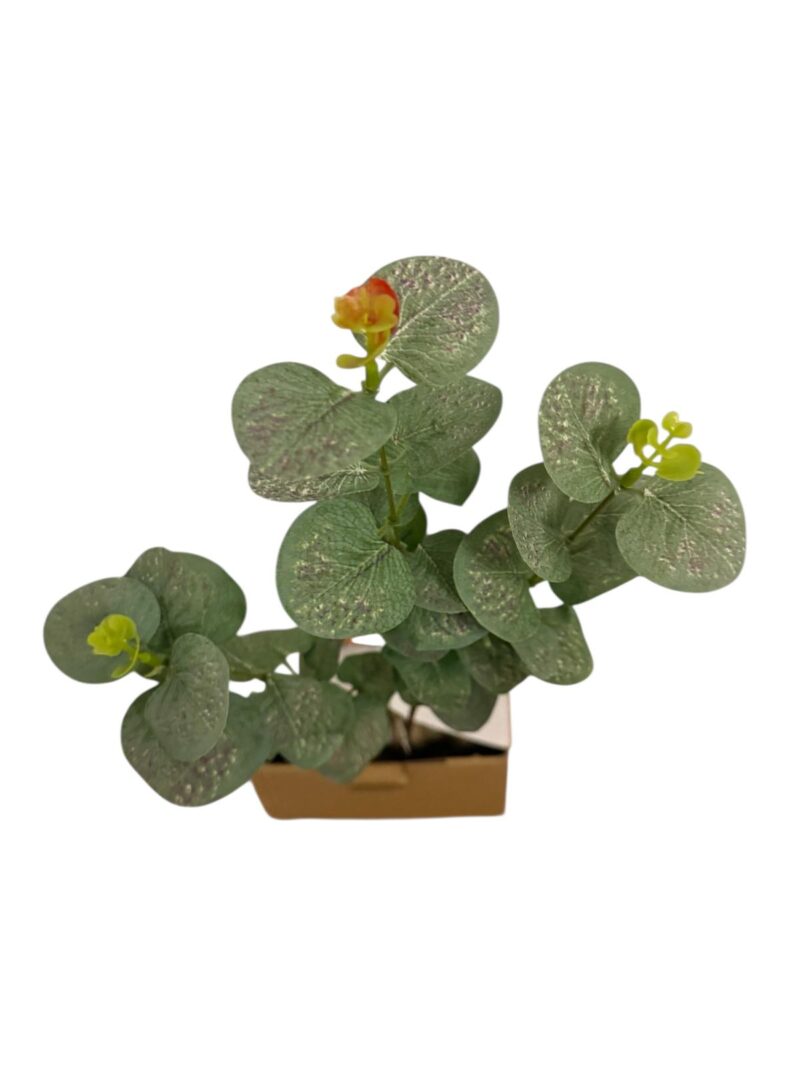 Varas verde eucalipto - Imagen 3
