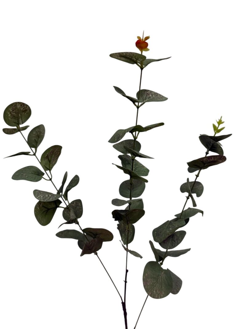 Varas verde eucalipto - Imagen 2