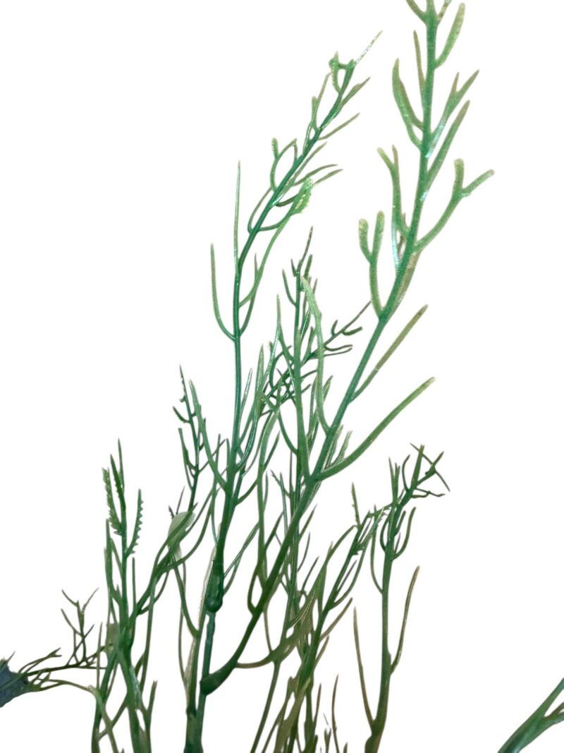 Varas verde pasto - Imagen 2