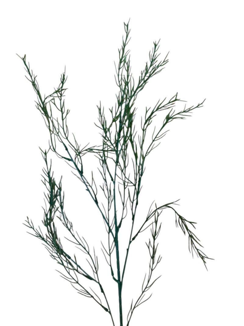 Varas verde pasto - Imagen 3