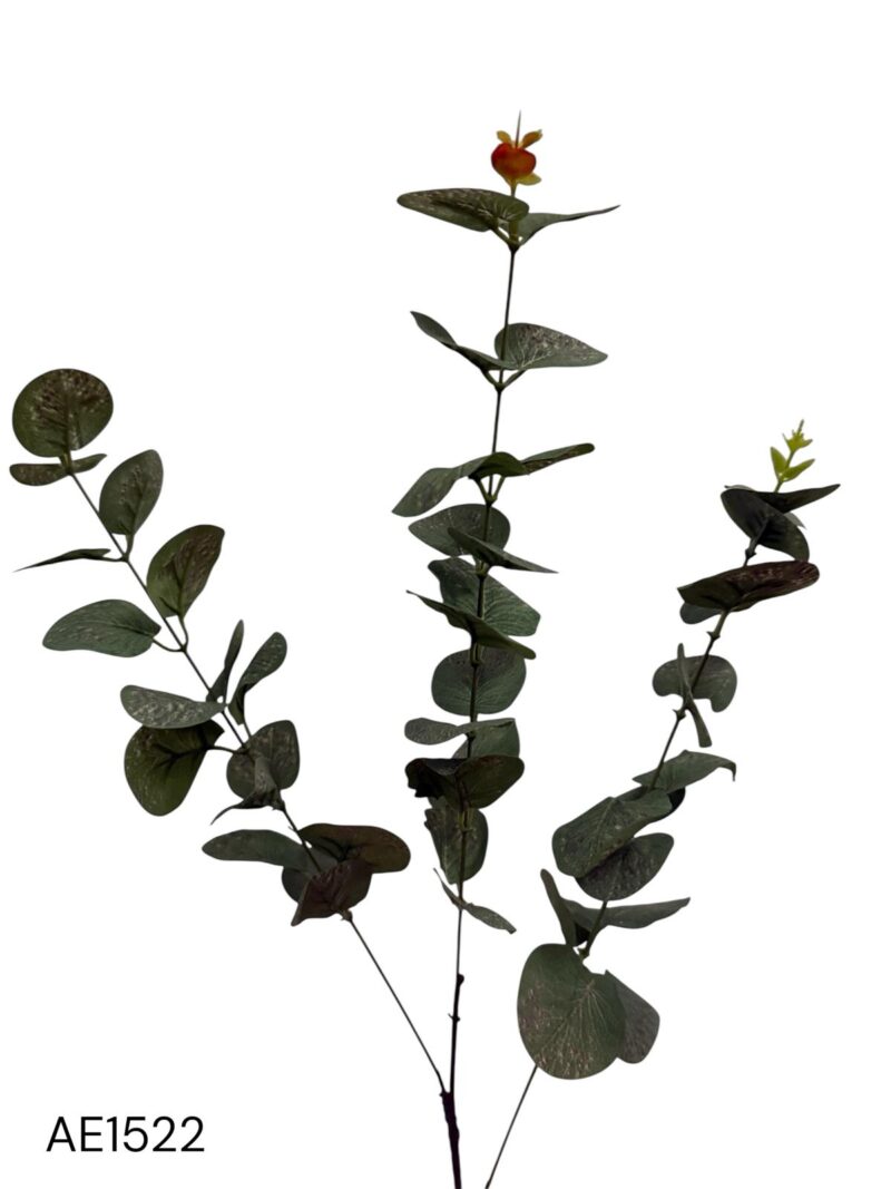 Varas verde eucalipto
