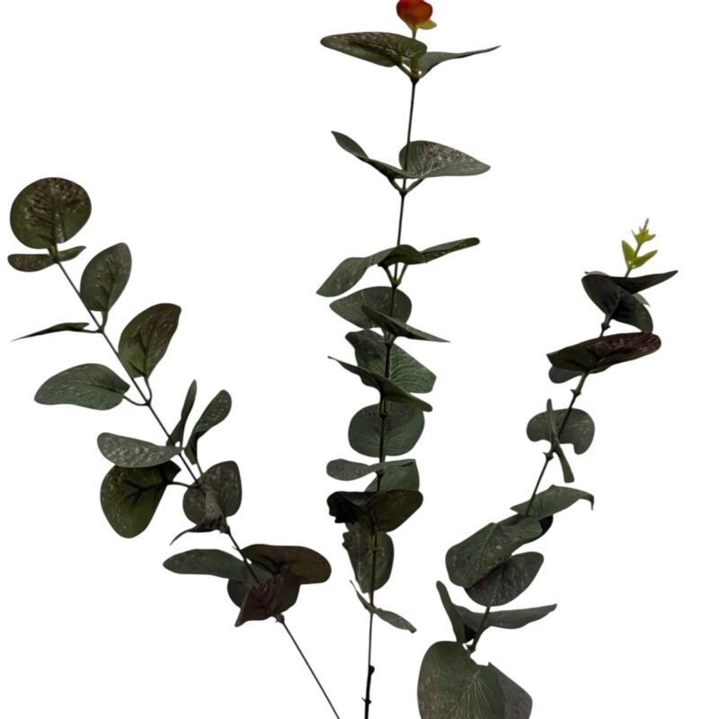 Varas verde eucalipto